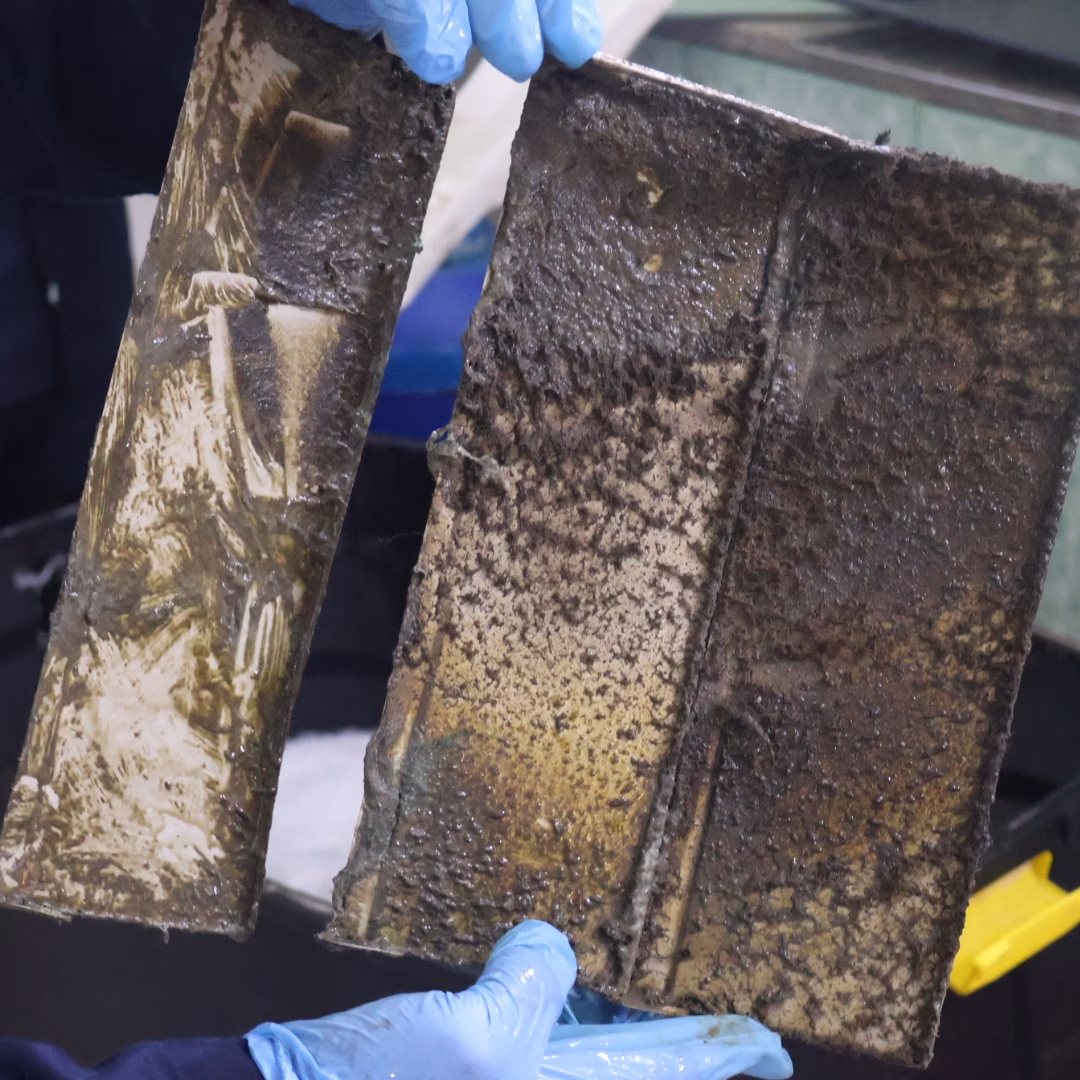 Clean property ready for landlord handover inspection